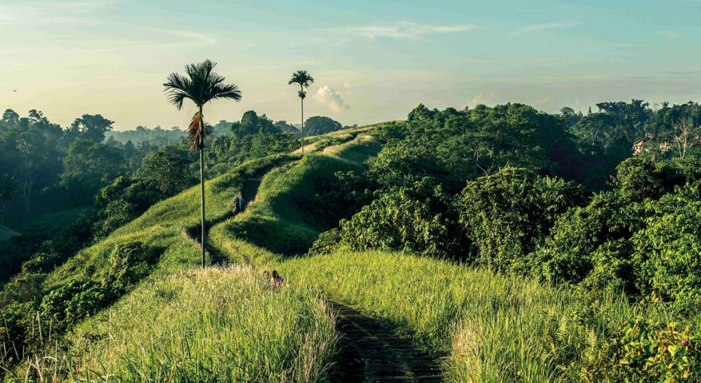 Trekking en la selva de Ubud