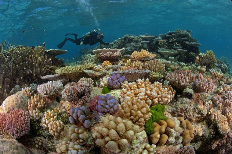 Snorkel en la isla de Nusa Penida