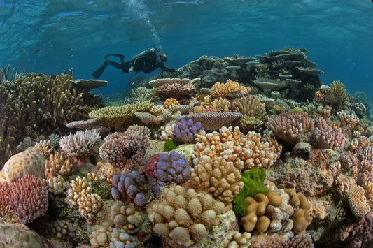 Snorkel en la isla de Nusa Penida