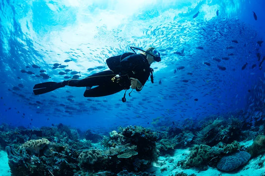 Exploración submarina avanzada con instructor privado