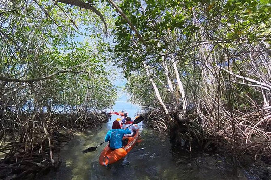 Paseo en kayak por la bahía de Nusa Lembongan